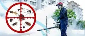مميزات شركة ابادة حشرات في دبي