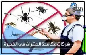 شركات مكافحة الحشرات في الفجيرة