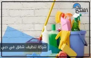 شركة تنظيف شقق في دبي
